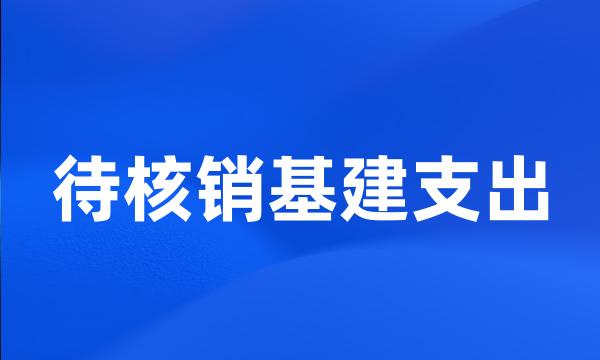 待核销基建支出