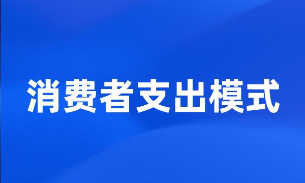 消费者支出模式