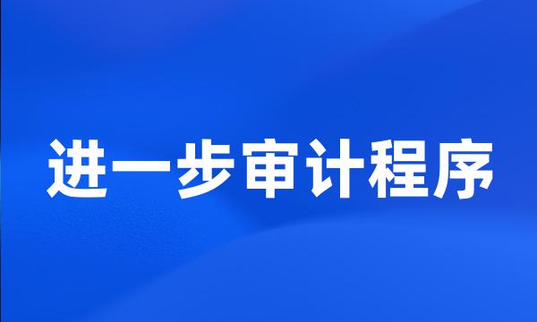 进一步审计程序