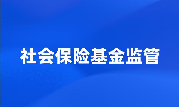 社会保险基金监管