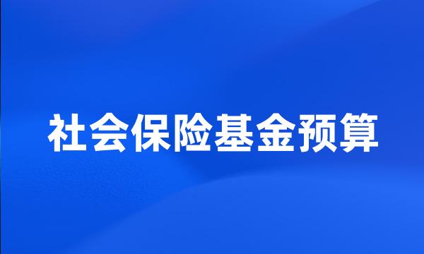 社会保险基金预算