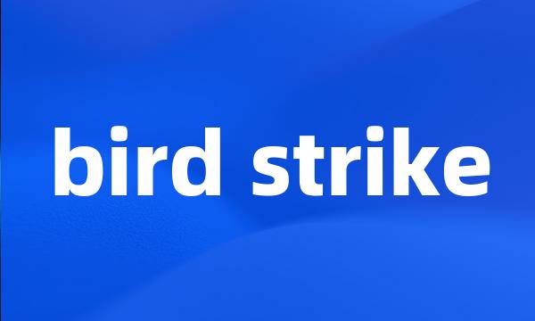 bird strike