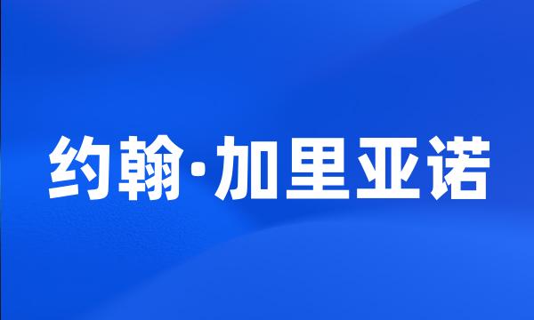 约翰·加里亚诺