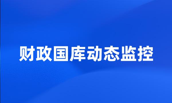 财政国库动态监控