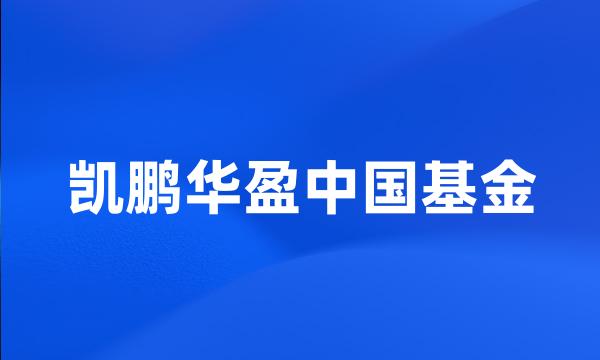 凯鹏华盈中国基金