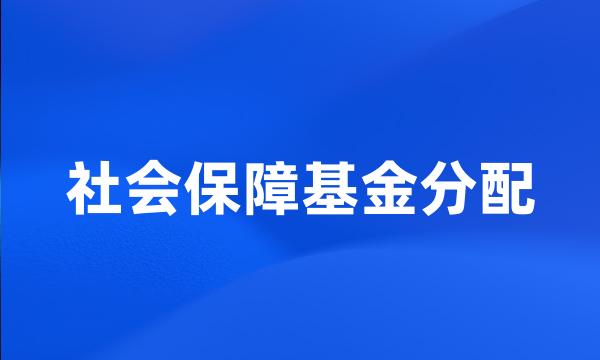 社会保障基金分配