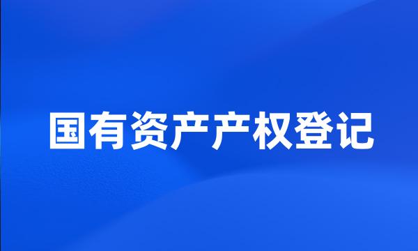 国有资产产权登记