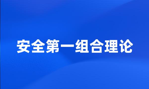 安全第一组合理论