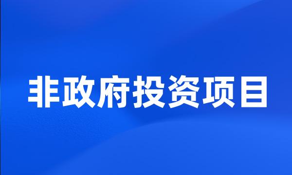 非政府投资项目