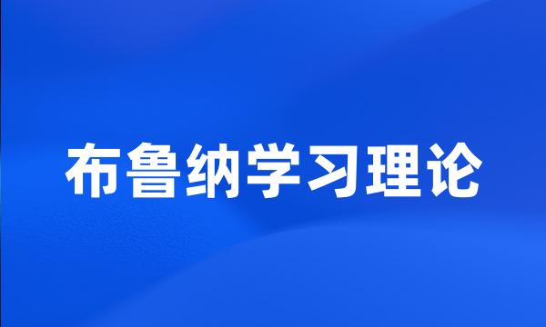 布鲁纳学习理论