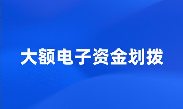 大额电子资金划拨