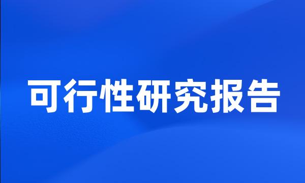 可行性研究报告