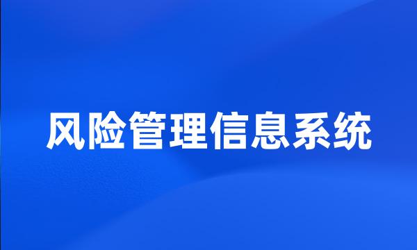 风险管理信息系统