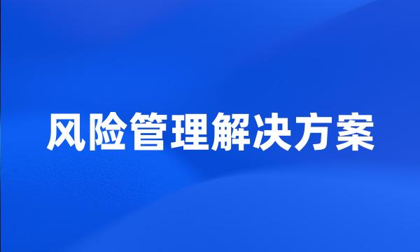 风险管理解决方案