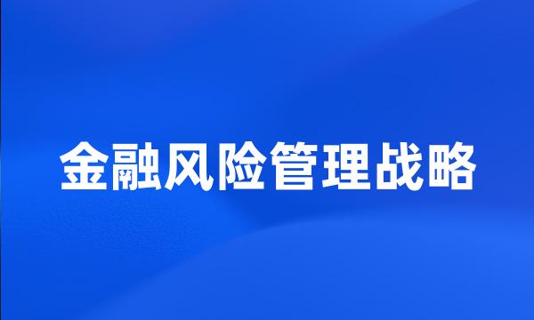 金融风险管理战略