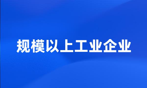 规模以上工业企业