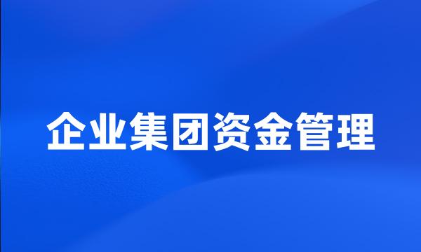 企业集团资金管理