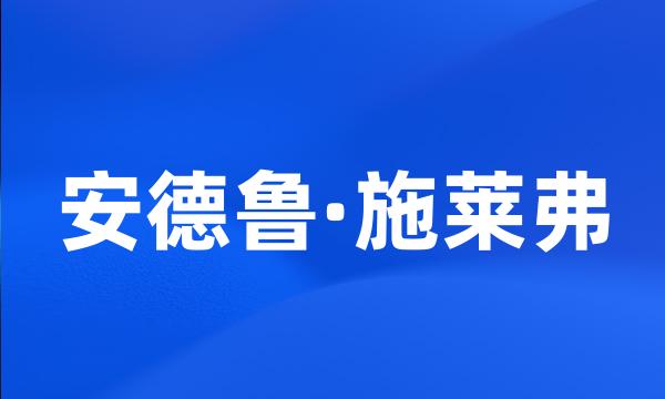 安德鲁·施莱弗