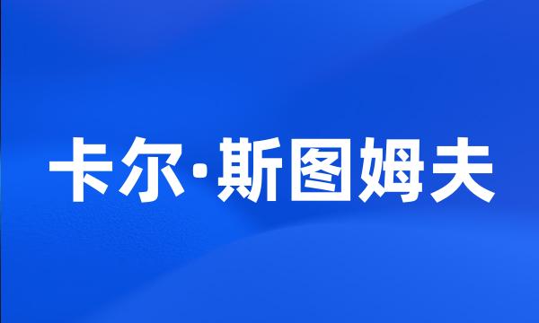 卡尔·斯图姆夫