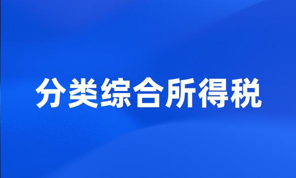 分类综合所得税