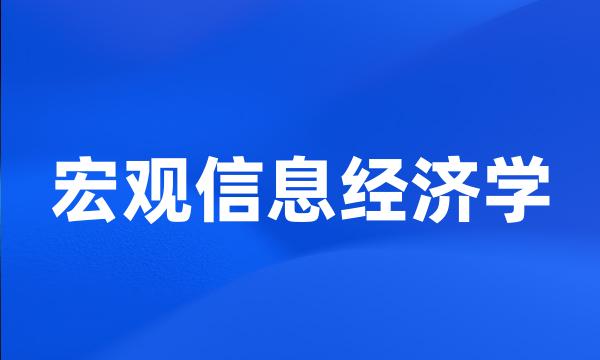 宏观信息经济学