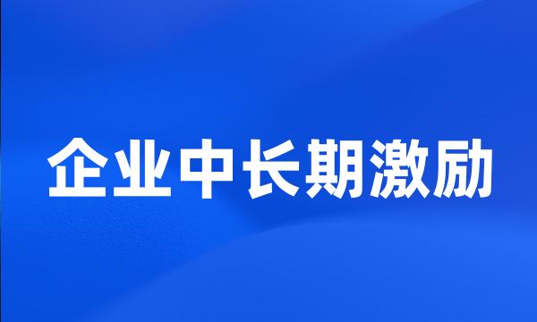 企业中长期激励