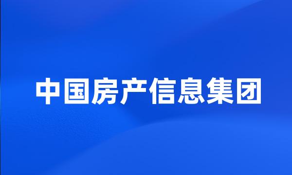 中国房产信息集团