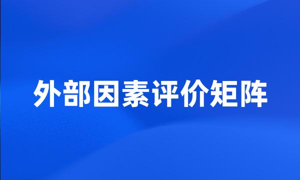 外部因素评价矩阵