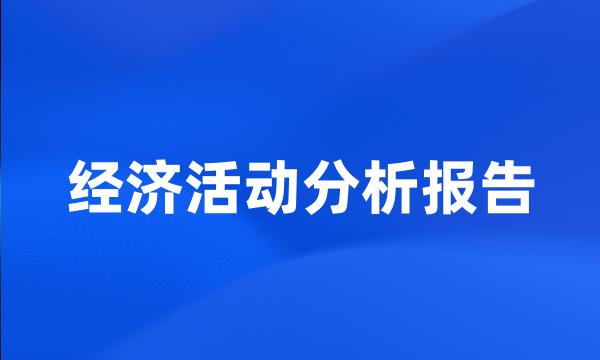 经济活动分析报告