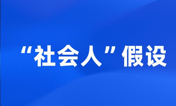 “社会人”假设