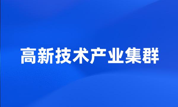 高新技术产业集群