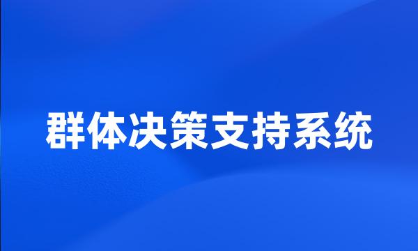 群体决策支持系统