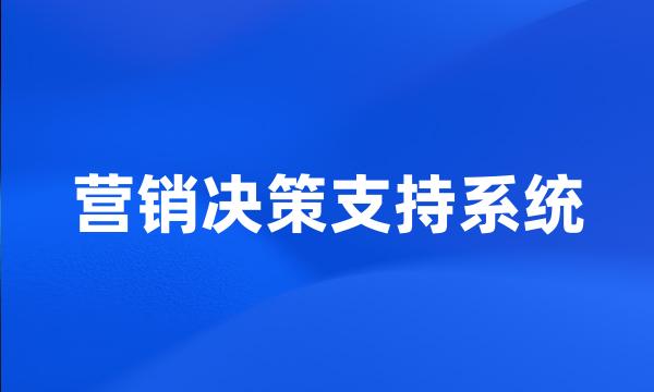 营销决策支持系统