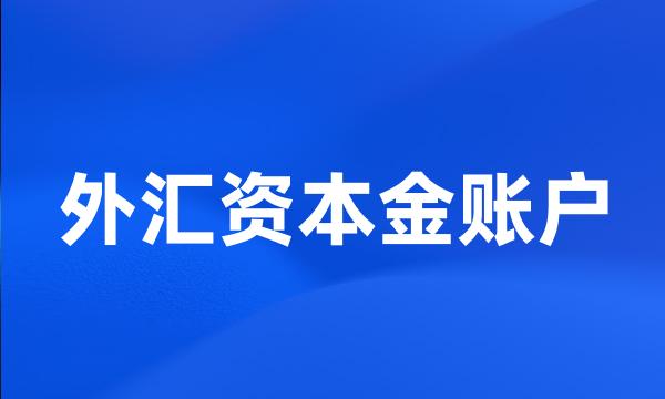 外汇资本金账户