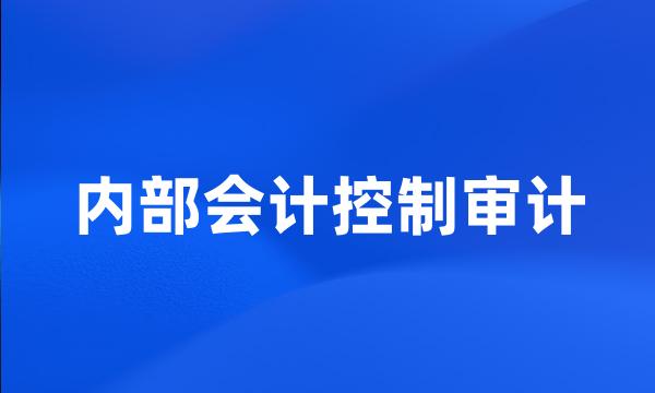 内部会计控制审计