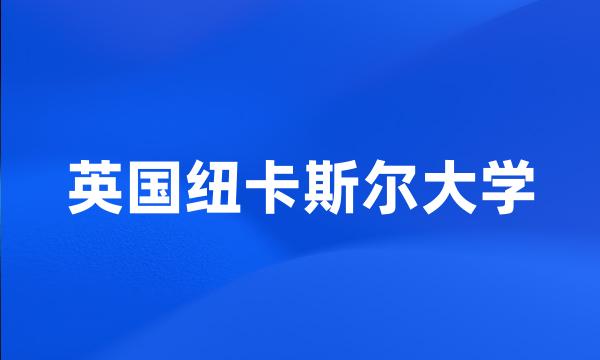 英国纽卡斯尔大学