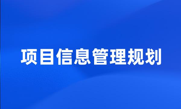 项目信息管理规划