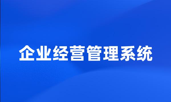 企业经营管理系统