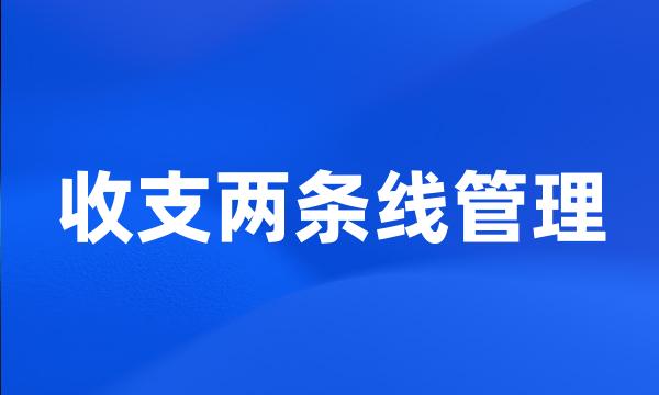 收支两条线管理