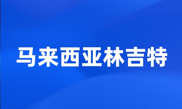 马来西亚林吉特