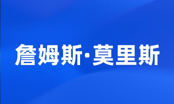 詹姆斯·莫里斯