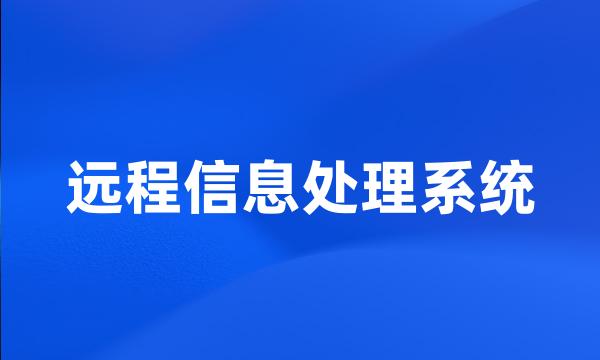 远程信息处理系统