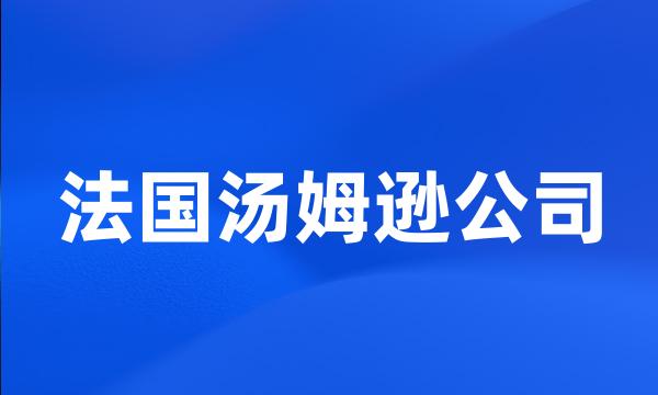 法国汤姆逊公司