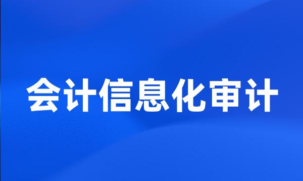 会计信息化审计