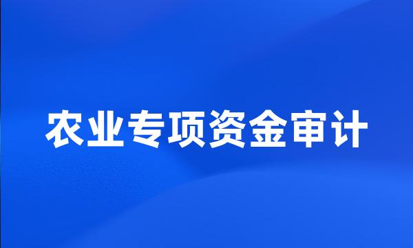 农业专项资金审计