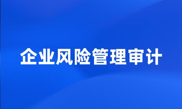 企业风险管理审计