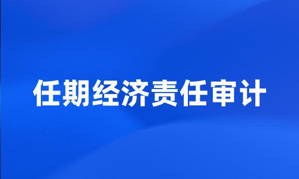 任期经济责任审计