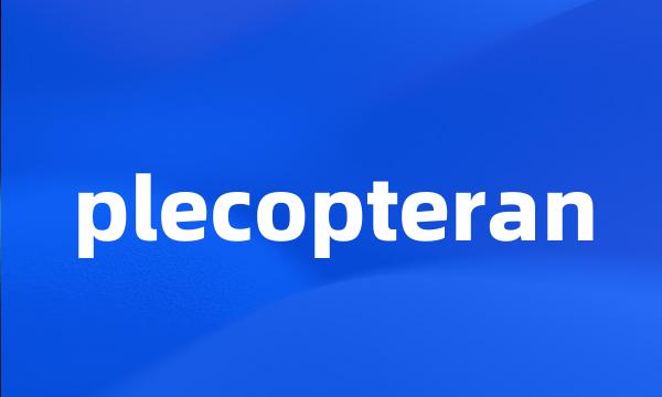 plecopteran