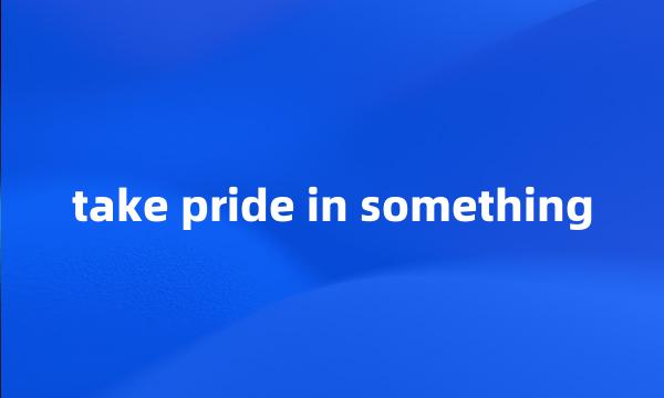 take pride in something