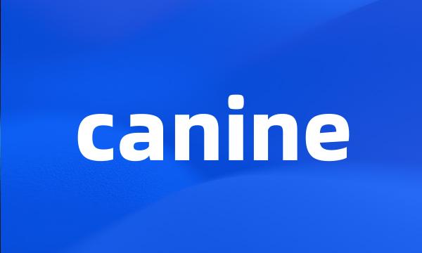 canine